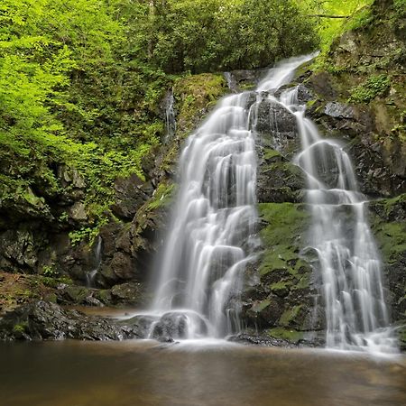 Four Bears Den, Hot Tub, 1089 Of Free Attraction Tickets For Each Paid Day, Dollywood And More Gatlinburg Dış mekan fotoğraf