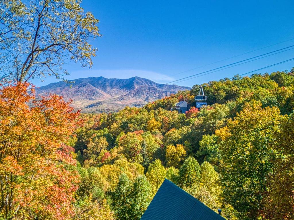 Four Bears Den, Hot Tub, 1089 Of Free Attraction Tickets For Each Paid Day, Dollywood And More Gatlinburg Dış mekan fotoğraf