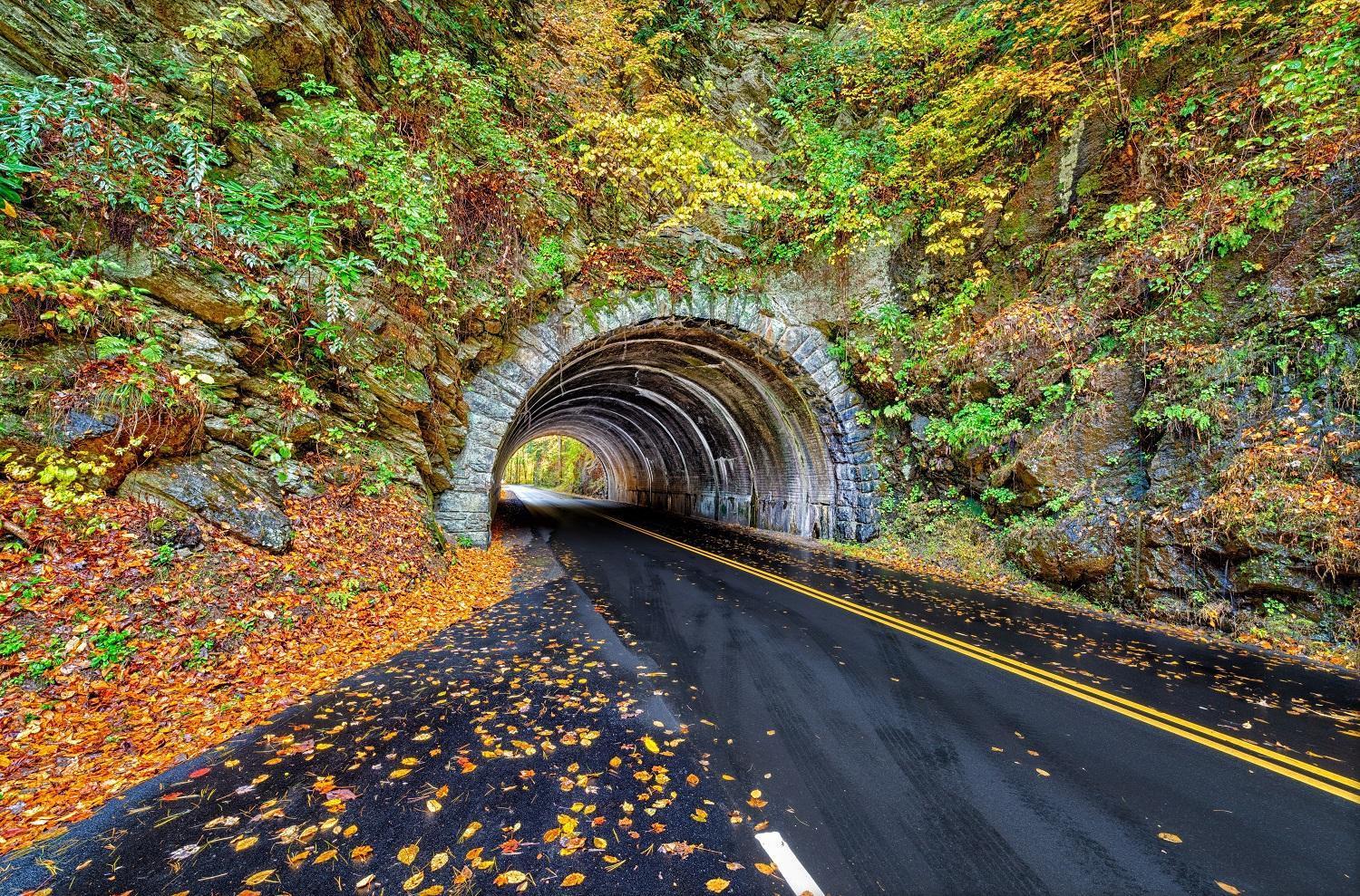 Four Bears Den, Hot Tub, 1089 Of Free Attraction Tickets For Each Paid Day, Dollywood And More Gatlinburg Dış mekan fotoğraf