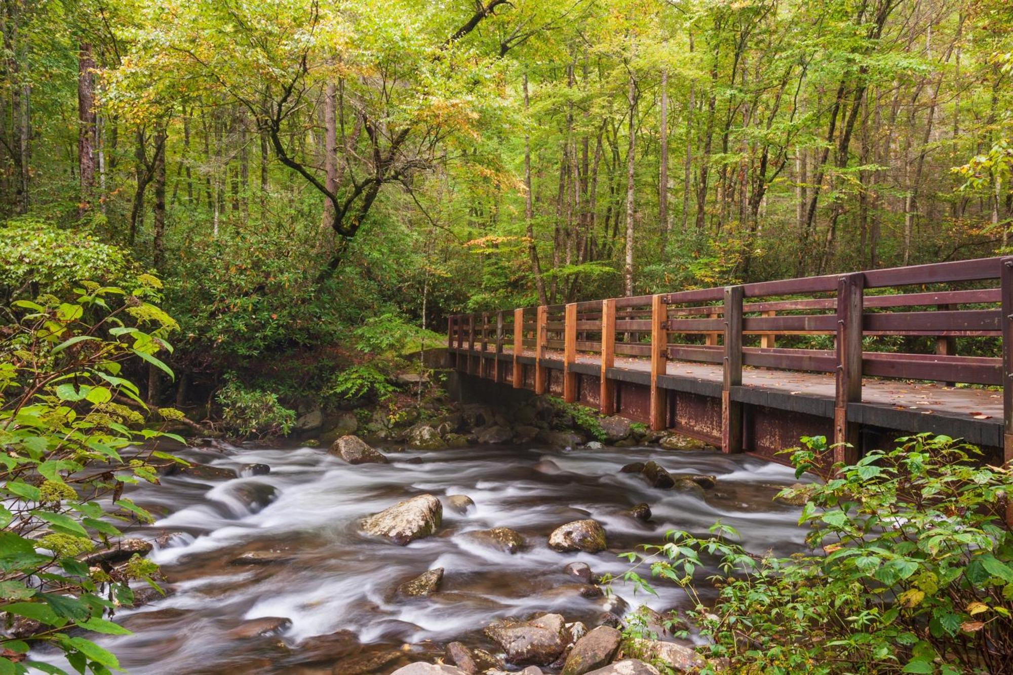 Four Bears Den, Hot Tub, 1089 Of Free Attraction Tickets For Each Paid Day, Dollywood And More Gatlinburg Dış mekan fotoğraf