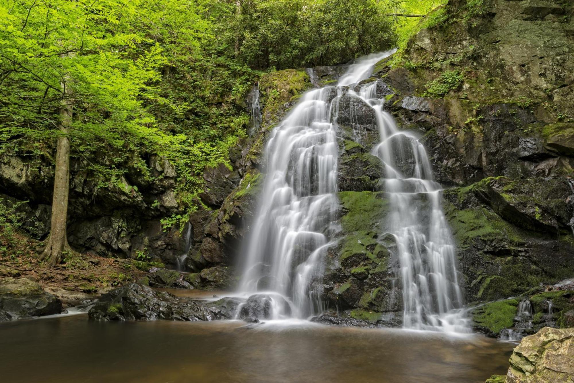 Four Bears Den, Hot Tub, 1089 Of Free Attraction Tickets For Each Paid Day, Dollywood And More Gatlinburg Dış mekan fotoğraf