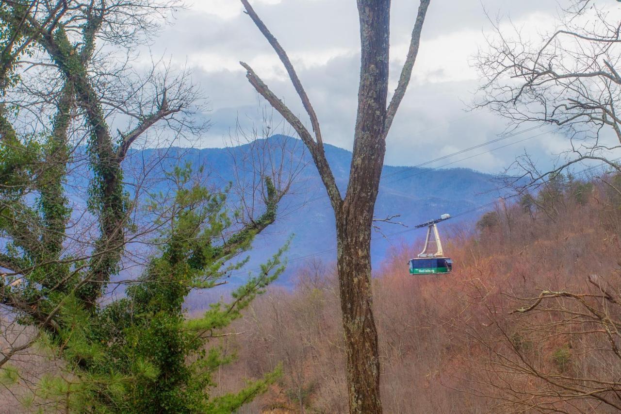 Four Bears Den, Hot Tub, 1089 Of Free Attraction Tickets For Each Paid Day, Dollywood And More Gatlinburg Dış mekan fotoğraf